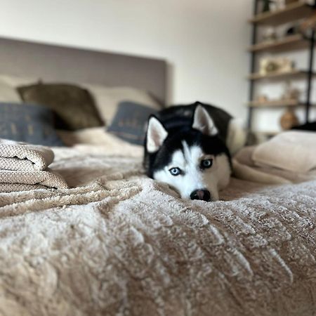 Apartman Freya Liptovský Mikuláš المظهر الخارجي الصورة